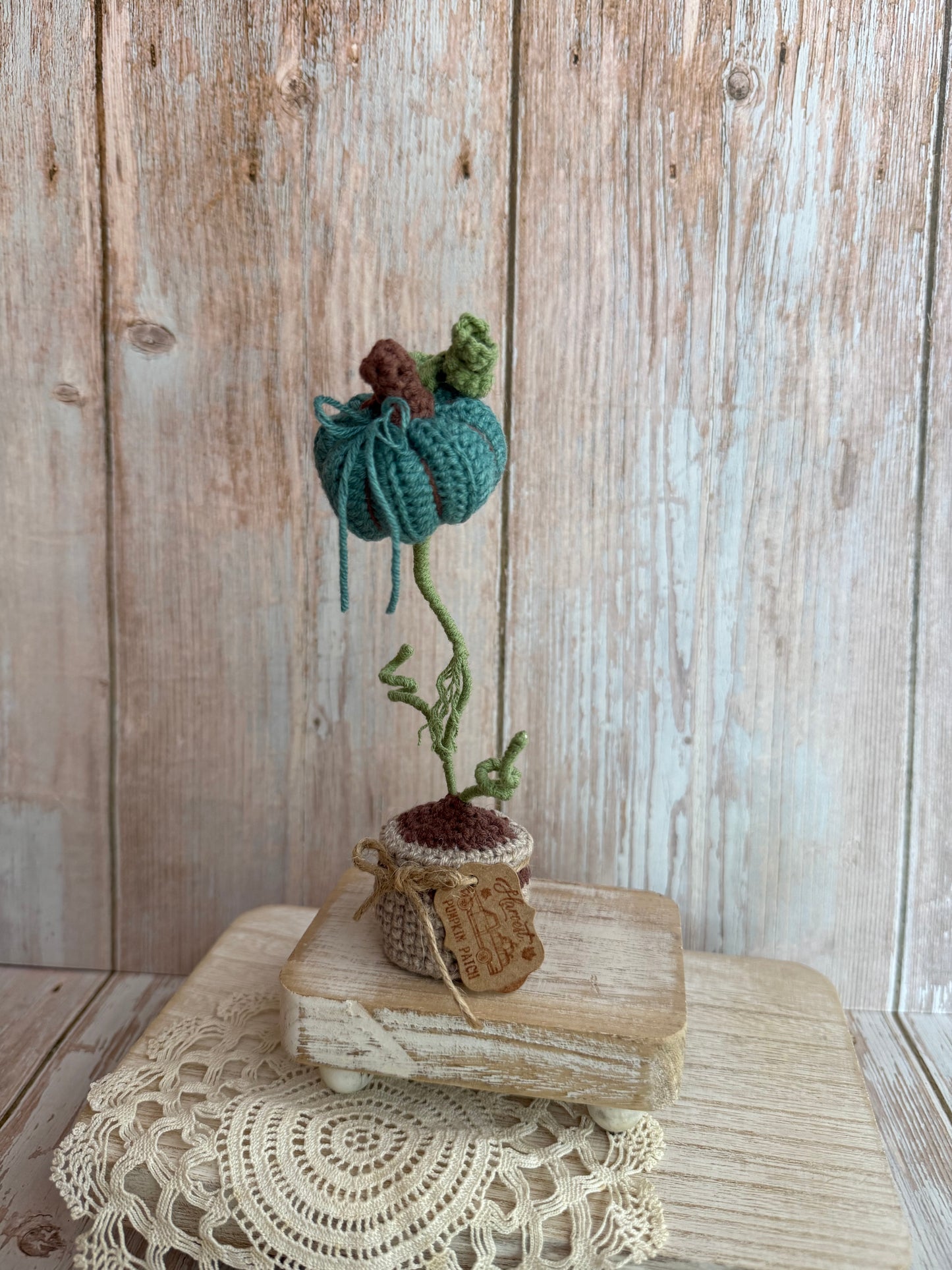 Crochet Pumpkin Plant in Pot, Fall Home Decor, Autumn Decoration, Mini Pumpkin Plant Crochet Decoration, Rustic Crochet Pumpkin in Pot, Handmade Fall Pumpkin Pot Accent, Crochet Pumpkin Farmhouse Style