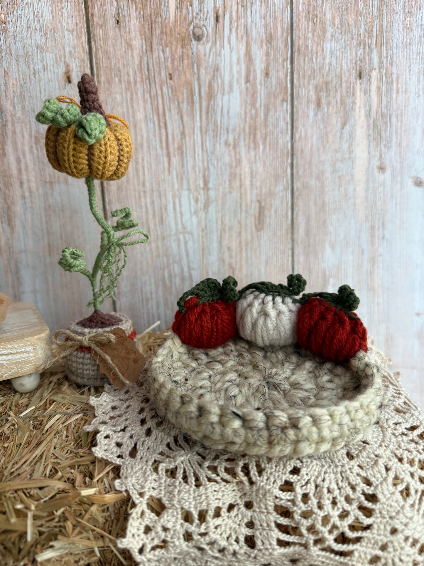 Crochet Pumpkin Patch Coasters, Handmade Fall Coasters, Rustic Pumpkin Design, Autumn Harvest Crochet Coasters, Pumpkins, Pumpkin Trio Crochet Coasters, Farmhouse Fall Decor