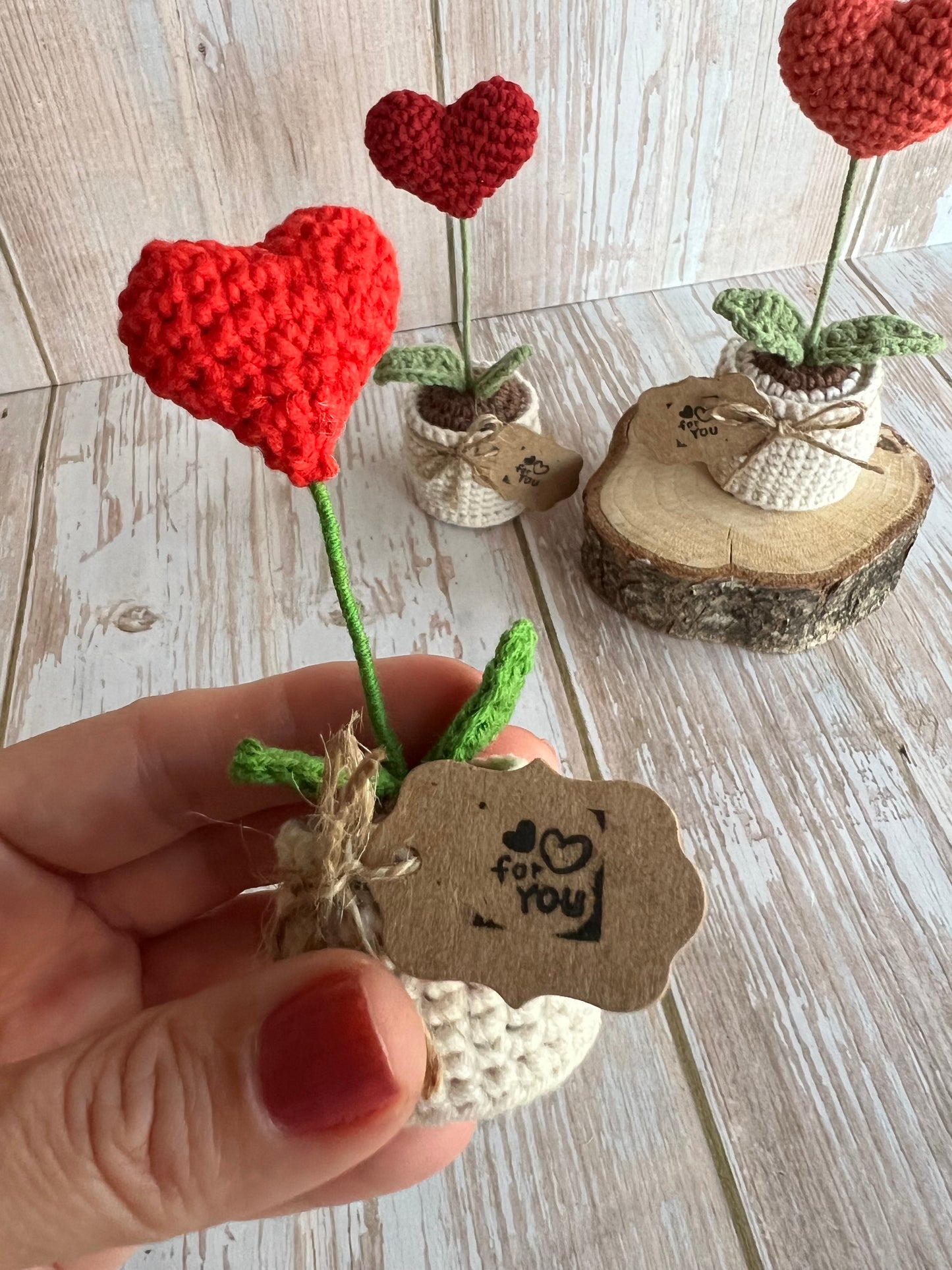 Handmade Crochet Heart in a Pot – Perfect Valentine’s Gift, Hand Crafted, Readymade, Unique Gift, Anniversary Gift
