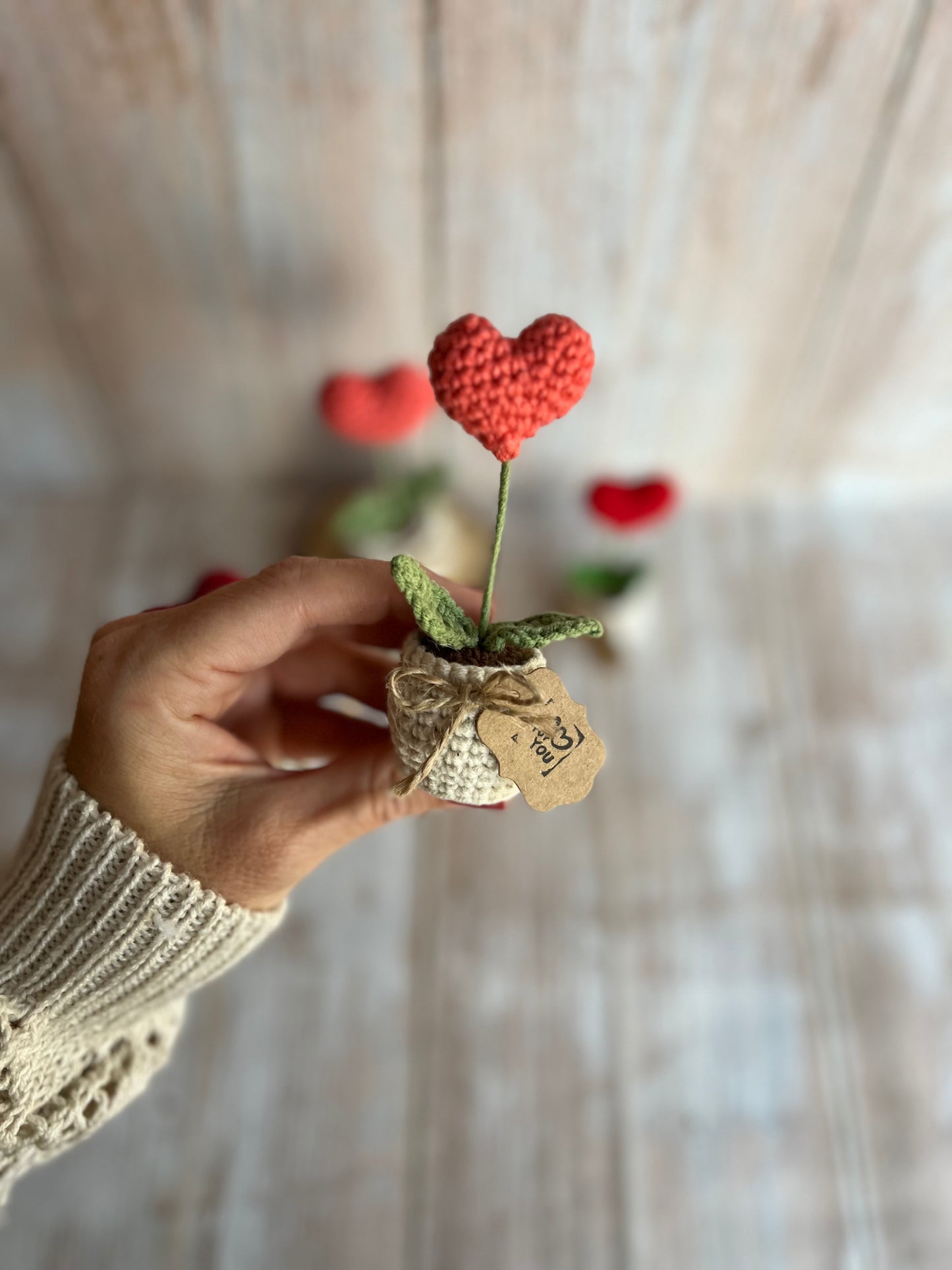 Handmade Crochet Heart in a Pot – Perfect Valentine’s Gift, Hand Crafted, Readymade, Unique Gift, Anniversary Gift