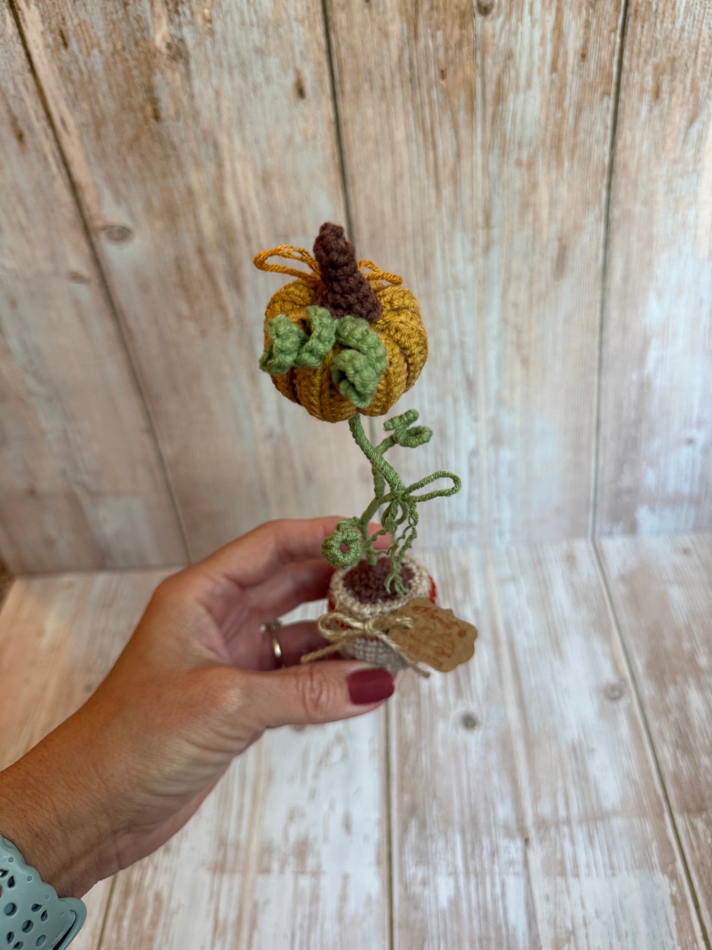 Crochet Pumpkin Plant in Pot, Fall Home Decor, Autumn Decoration, Mini Pumpkin Plant Crochet Decoration, Rustic Crochet Pumpkin in Pot, Handmade Fall Pumpkin Pot Accent, Crochet Pumpkin Farmhouse Style
