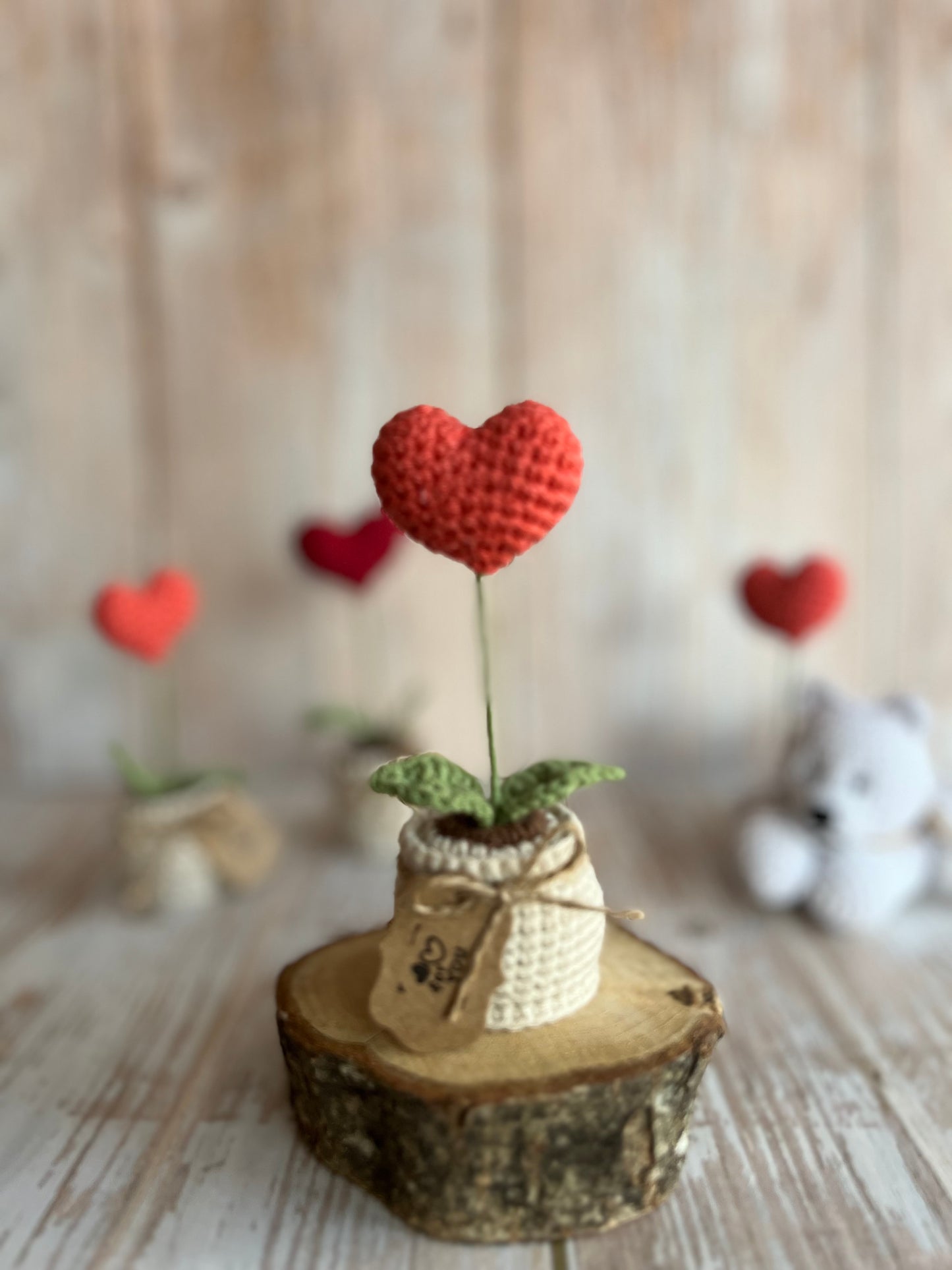 Handmade Crochet Heart in a Pot – Perfect Valentine’s Gift, Hand Crafted, Readymade, Unique Gift, Anniversary Gift