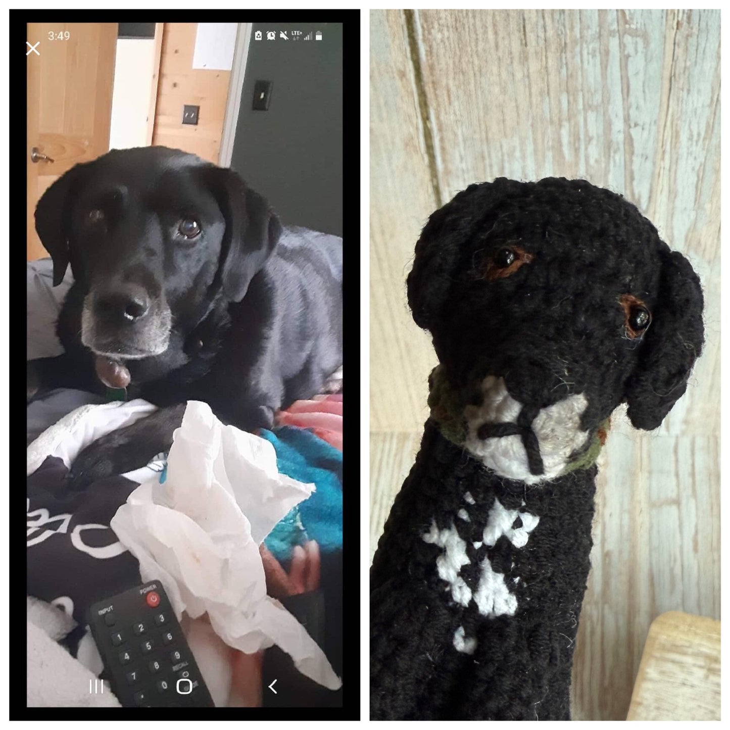 Custom Dog Ornament, Custom Cat Ornament, Custom Pet Ornament