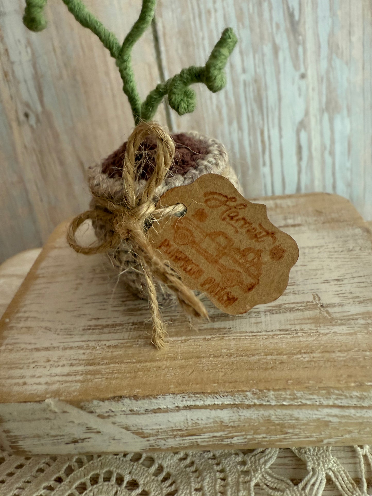 Crochet Pumpkin Plant in Pot, Fall Home Decor, Autumn Decoration, Mini Pumpkin Plant Crochet Decoration, Rustic Crochet Pumpkin in Pot, Handmade Fall Pumpkin Pot Accent, Crochet Pumpkin Farmhouse Style