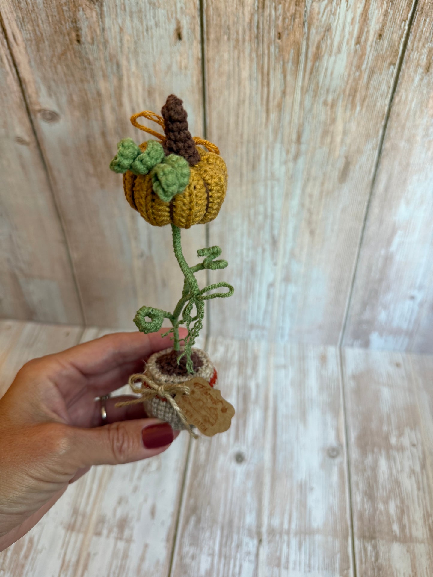 Crochet Pumpkin Plant in Pot, Fall Home Decor, Autumn Decoration, Mini Pumpkin Plant Crochet Decoration, Rustic Crochet Pumpkin in Pot, Handmade Fall Pumpkin Pot Accent, Crochet Pumpkin Farmhouse Style