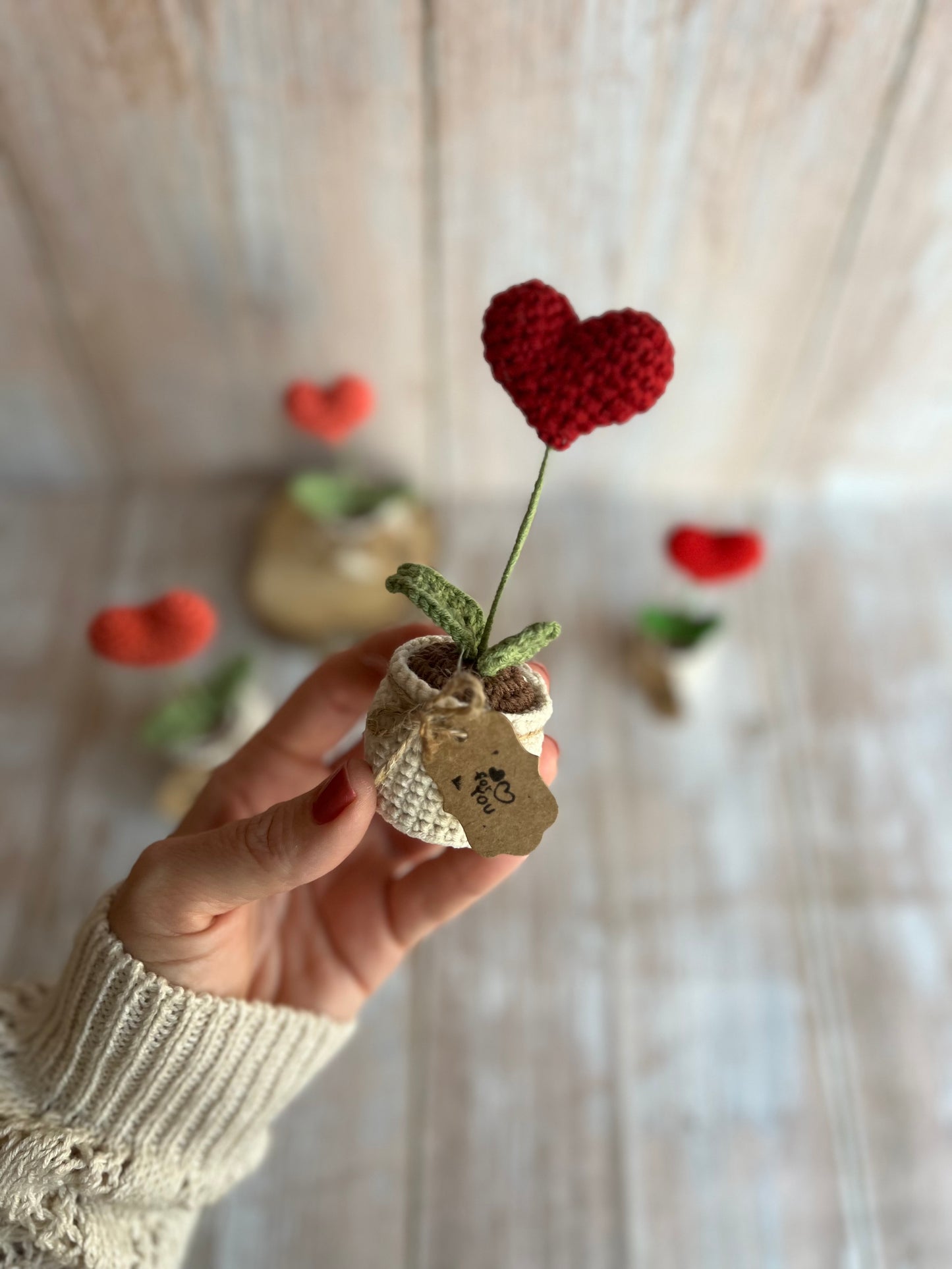 Handmade Crochet Heart in a Pot – Perfect Valentine’s Gift, Hand Crafted, Readymade, Unique Gift, Anniversary Gift