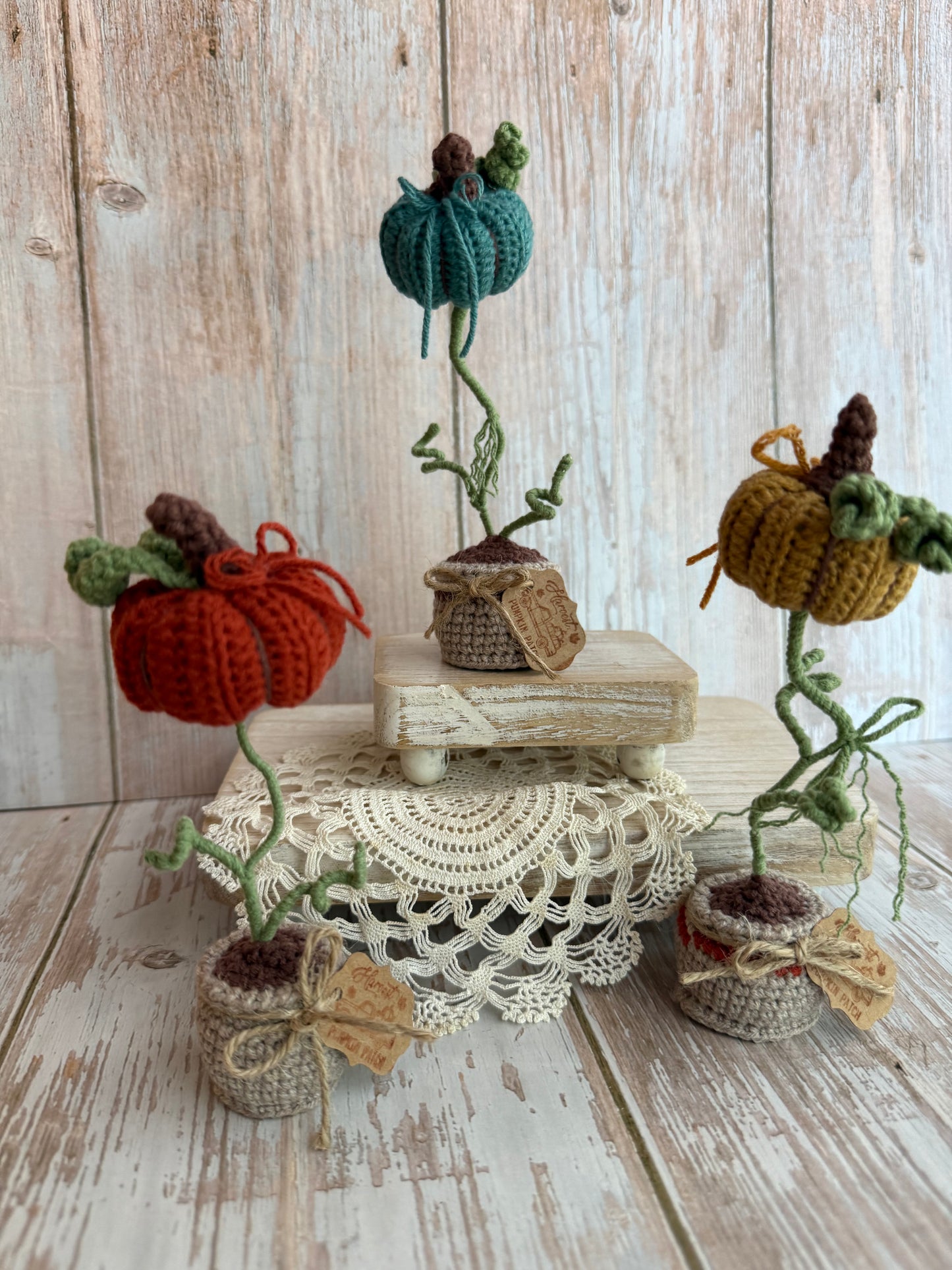 Crochet Pumpkin Plant in Pot, Fall Home Decor, Autumn Decoration, Mini Pumpkin Plant Crochet Decoration, Rustic Crochet Pumpkin in Pot, Handmade Fall Pumpkin Pot Accent, Crochet Pumpkin Farmhouse Style