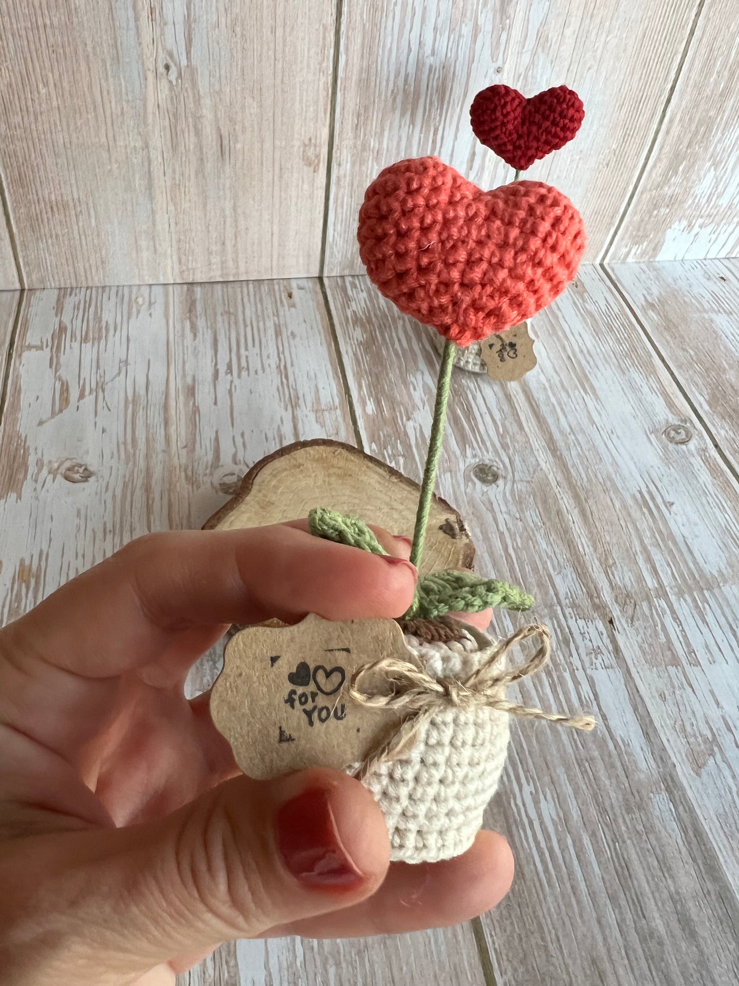 Handmade Crochet Heart in a Pot – Perfect Valentine’s Gift, Hand Crafted, Readymade, Unique Gift, Anniversary Gift