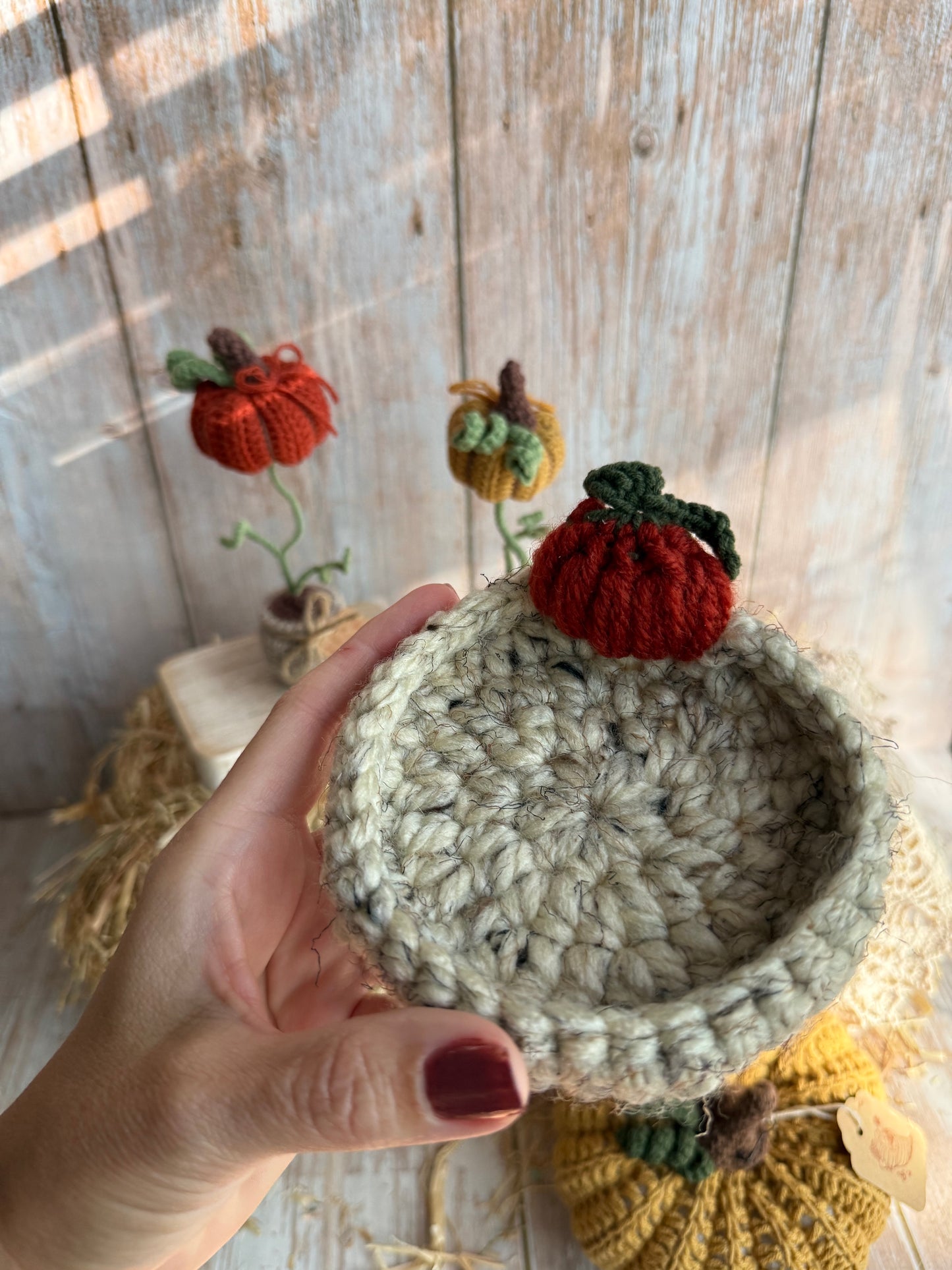 Crochet Pumpkin Patch Coasters, Handmade Fall Coasters, Rustic Pumpkin Design, Autumn Harvest Crochet Coasters, Pumpkins, Pumpkin Trio Crochet Coasters, Farmhouse Fall Decor