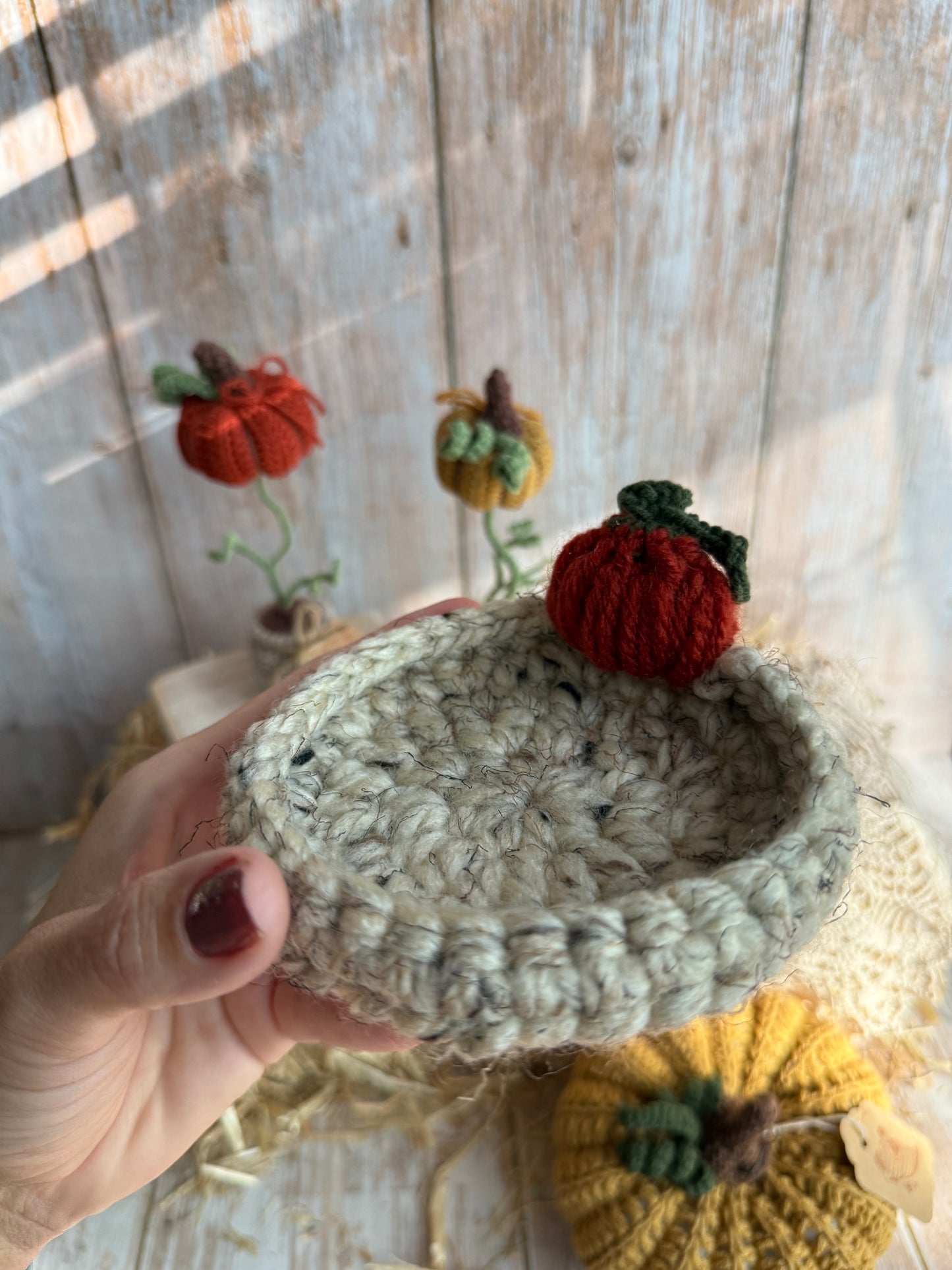 Crochet Pumpkin Patch Coasters, Handmade Fall Coasters, Rustic Pumpkin Design, Autumn Harvest Crochet Coasters, Pumpkins, Pumpkin Trio Crochet Coasters, Farmhouse Fall Decor