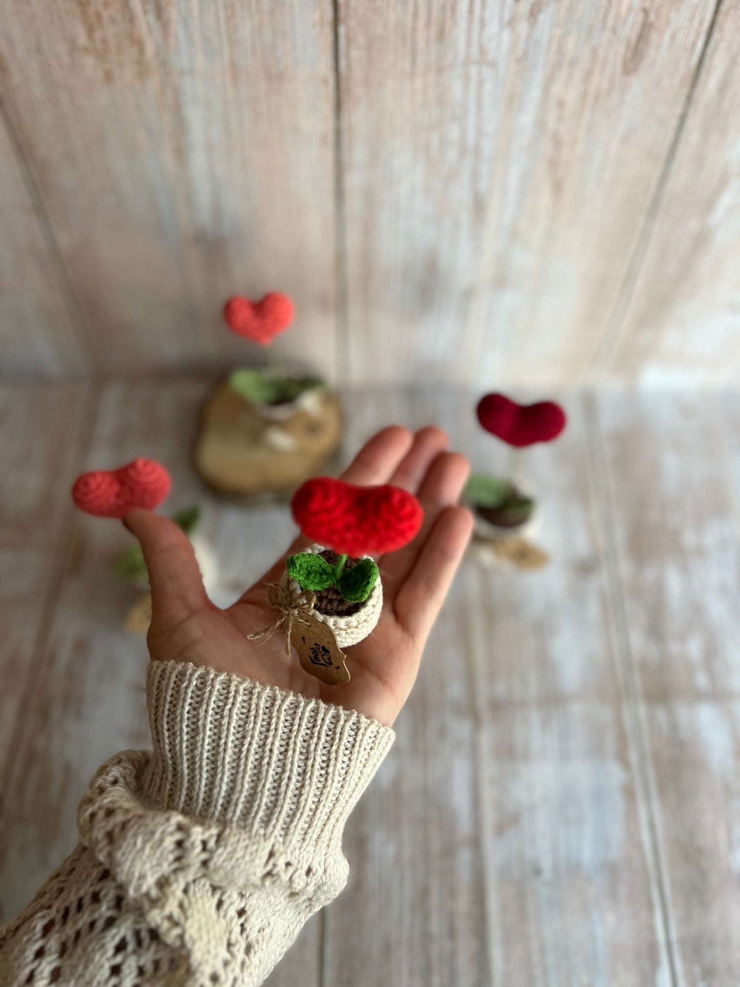 Handmade Crochet Heart in a Pot – Perfect Valentine’s Gift, Hand Crafted, Readymade, Unique Gift, Anniversary Gift