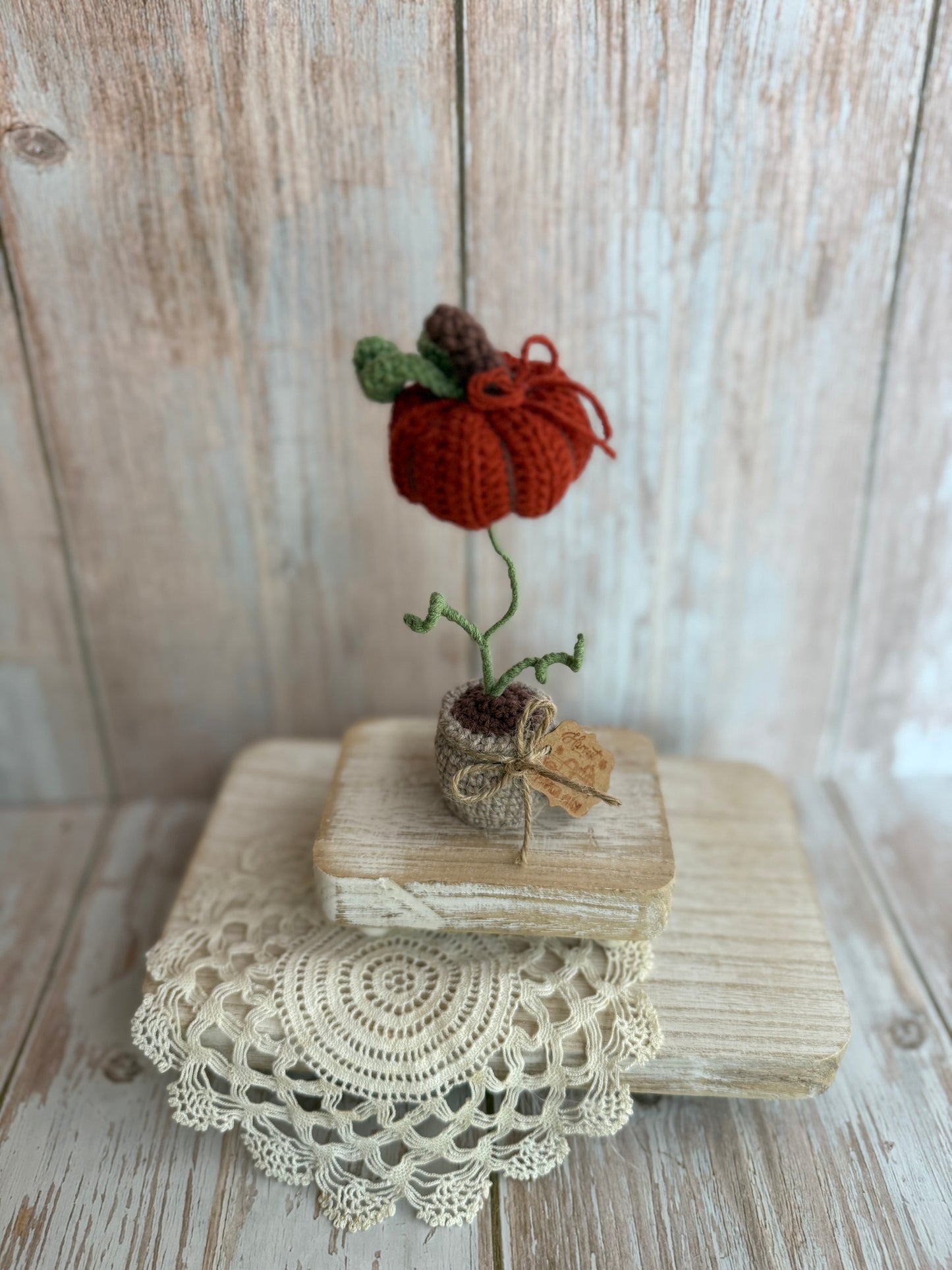 Crochet Pumpkin Plant in Pot, Fall Home Decor, Autumn Decoration, Mini Pumpkin Plant Crochet Decoration, Rustic Crochet Pumpkin in Pot, Handmade Fall Pumpkin Pot Accent, Crochet Pumpkin Farmhouse Style