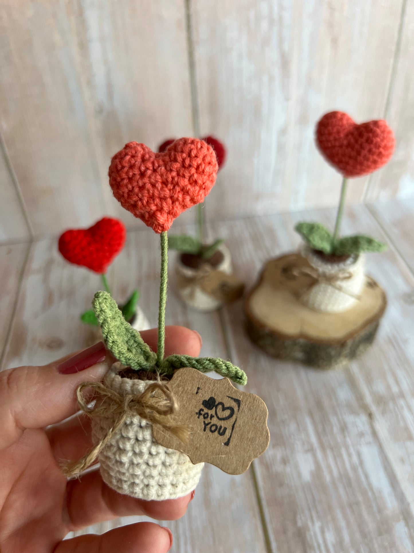 Handmade Crochet Heart in a Pot – Perfect Valentine’s Gift, Hand Crafted, Readymade, Unique Gift, Anniversary Gift
