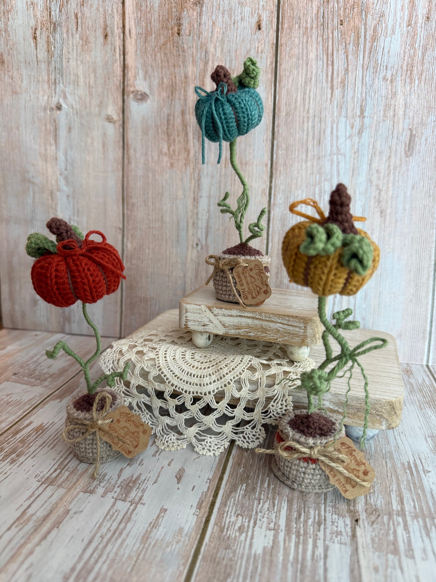 Crochet Pumpkin Plant in Pot, Fall Home Decor, Autumn Decoration, Mini Pumpkin Plant Crochet Decoration, Rustic Crochet Pumpkin in Pot, Handmade Fall Pumpkin Pot Accent, Crochet Pumpkin Farmhouse Style