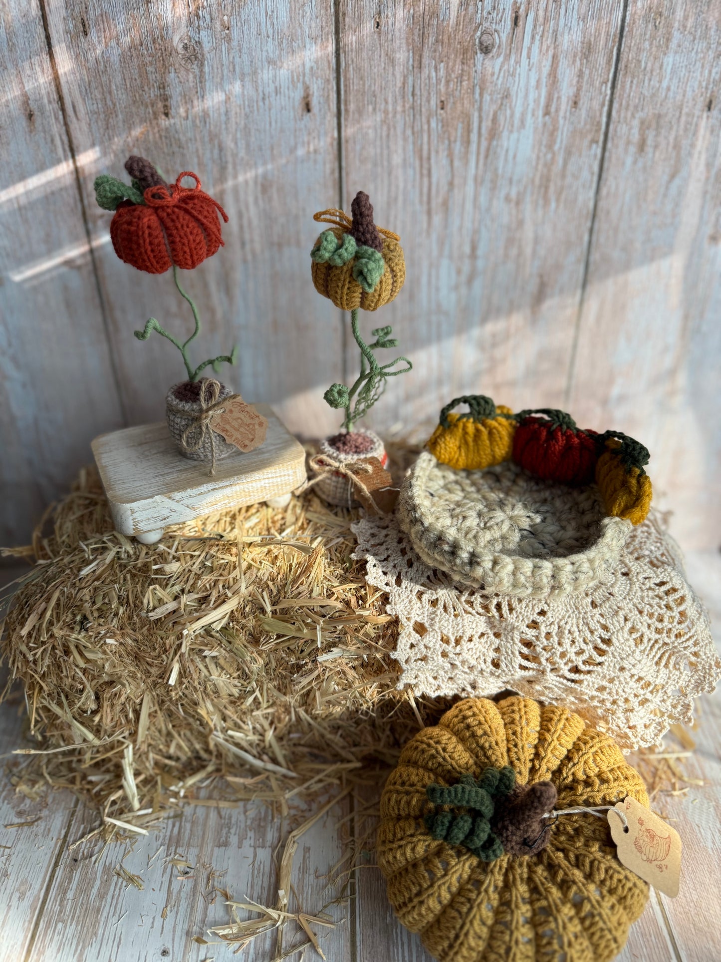 Crochet Pumpkin Patch Coasters, Handmade Fall Coasters, Rustic Pumpkin Design, Autumn Harvest Crochet Coasters, Pumpkins, Pumpkin Trio Crochet Coasters, Farmhouse Fall Decor