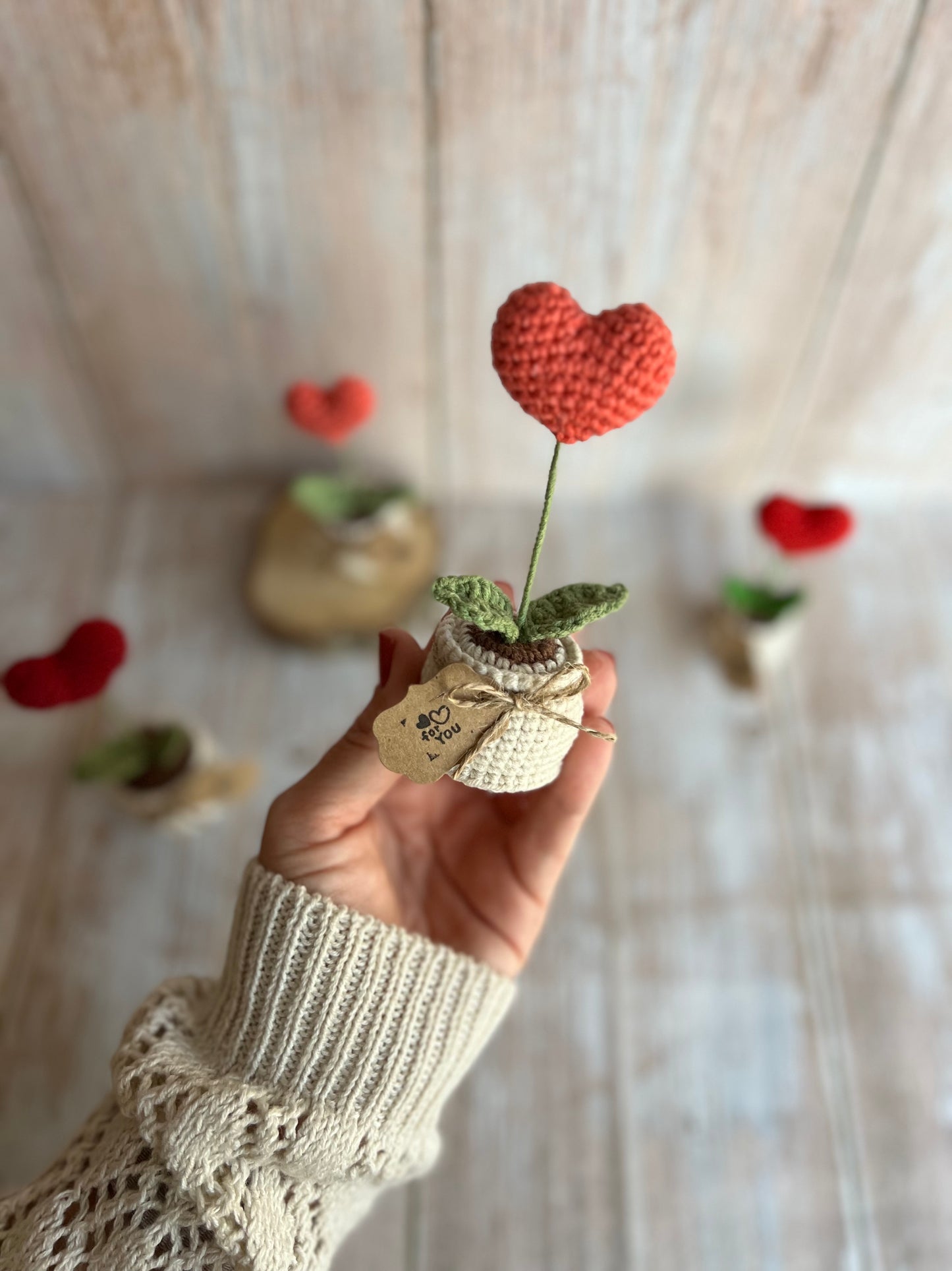Handmade Crochet Heart in a Pot – Perfect Valentine’s Gift, Hand Crafted, Readymade, Unique Gift, Anniversary Gift