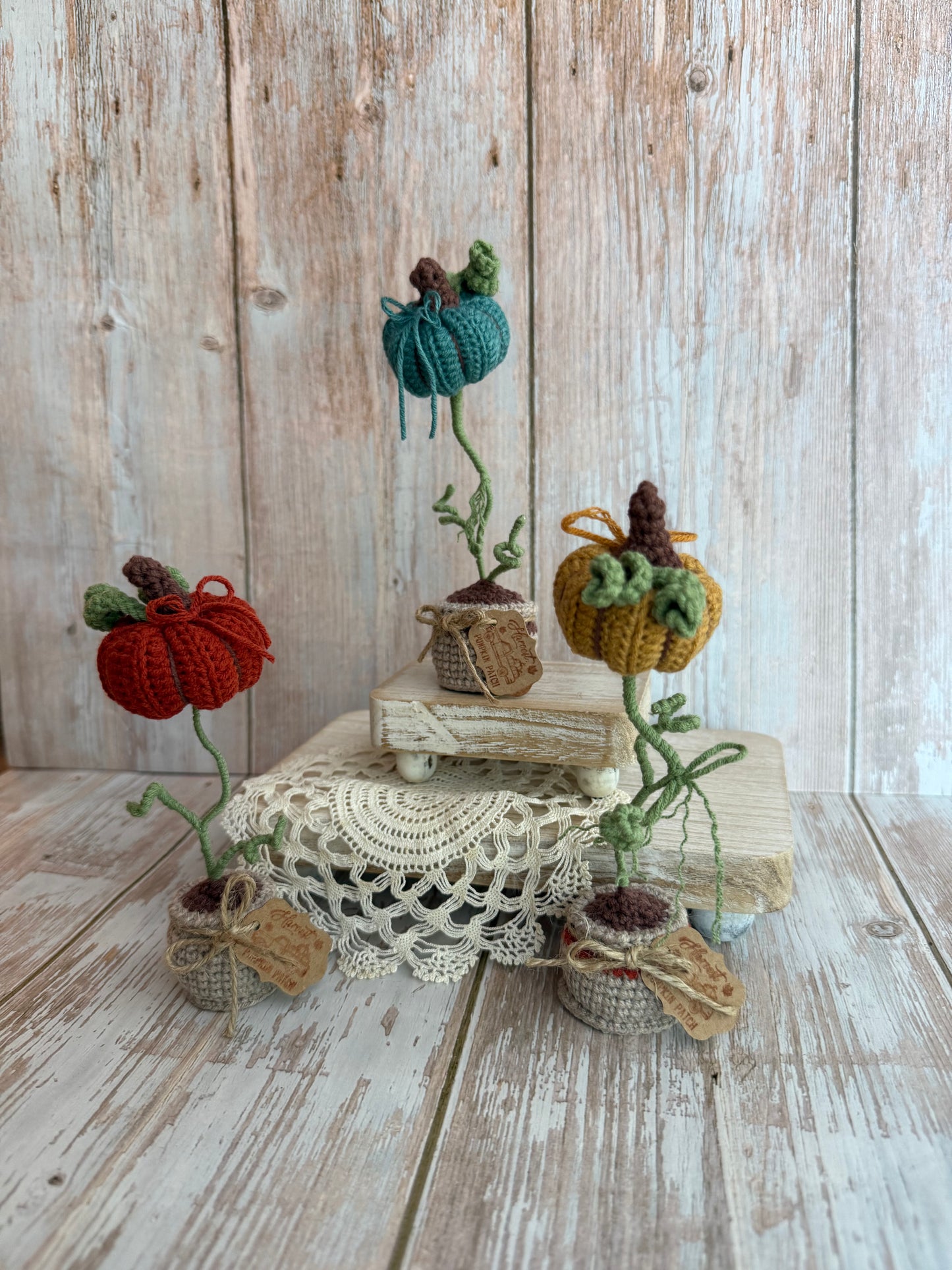 Crochet Pumpkin Plant in Pot, Fall Home Decor, Autumn Decoration, Mini Pumpkin Plant Crochet Decoration, Rustic Crochet Pumpkin in Pot, Handmade Fall Pumpkin Pot Accent, Crochet Pumpkin Farmhouse Style