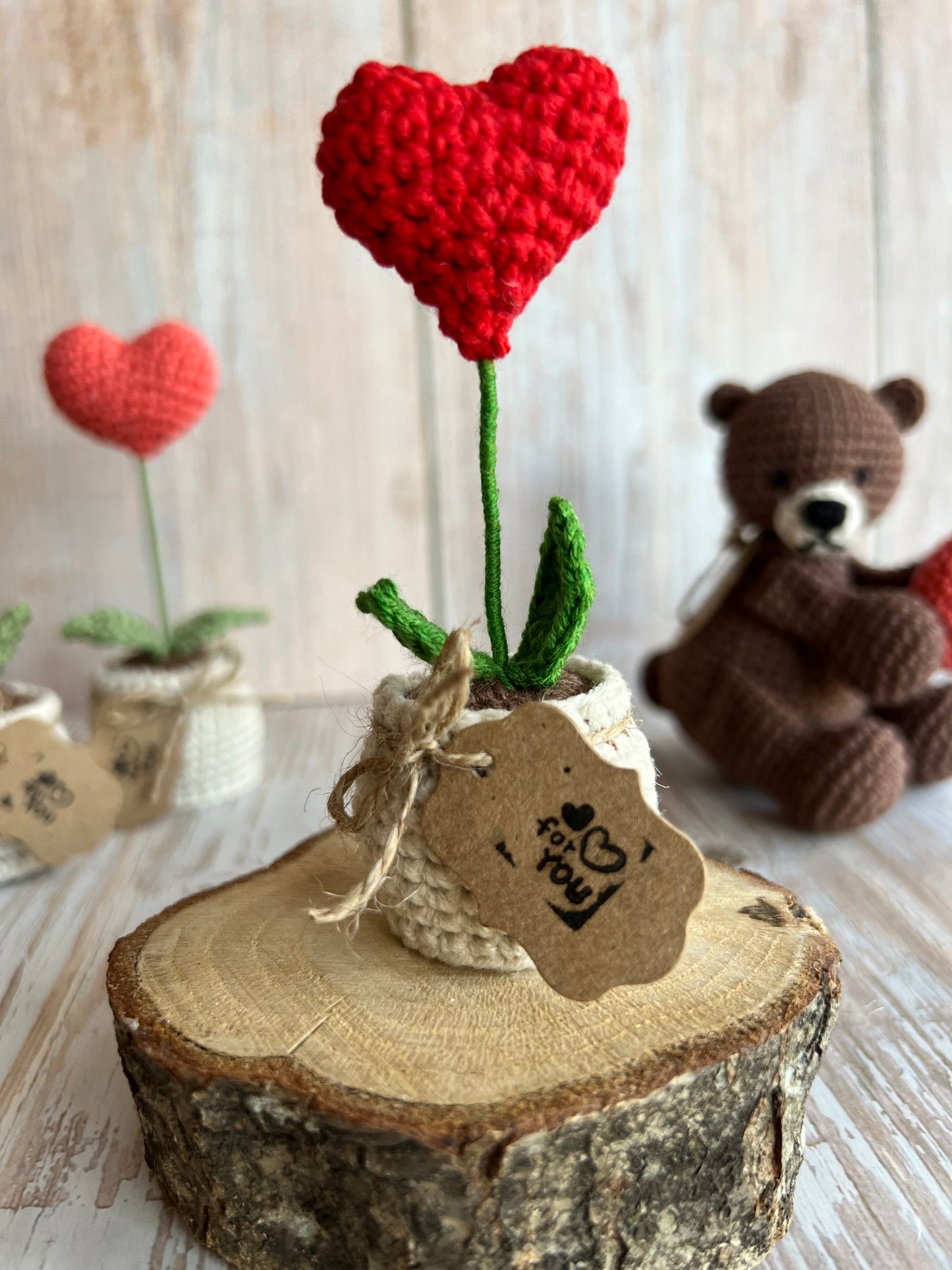 Handmade Crochet Heart in a Pot – Perfect Valentine’s Gift, Hand Crafted, Readymade, Unique Gift, Anniversary Gift