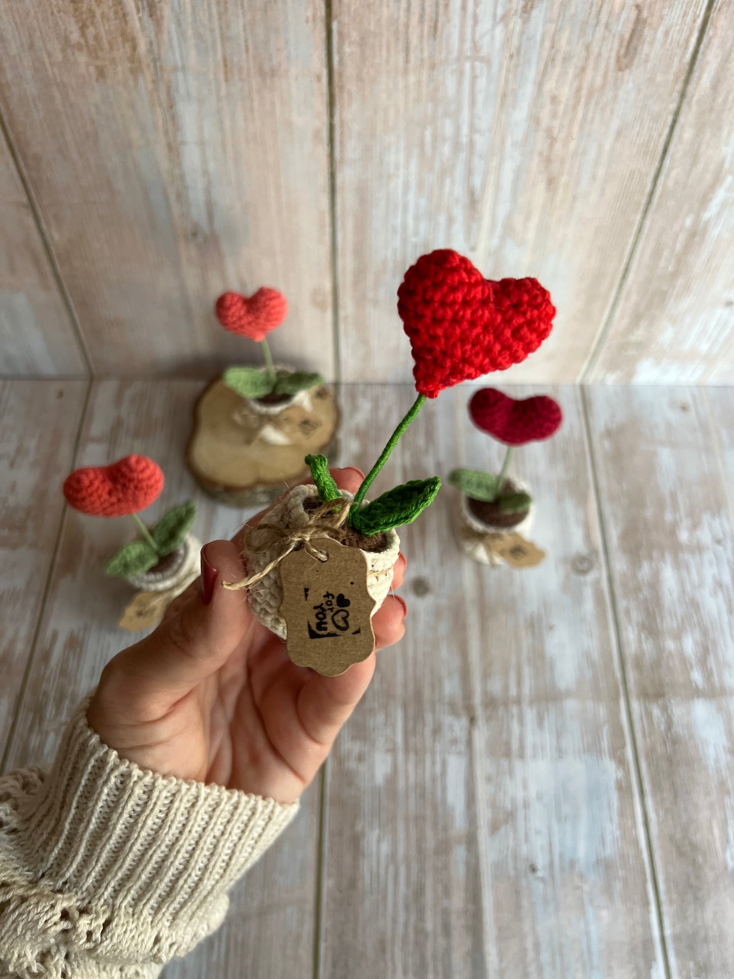 Handmade Crochet Heart in a Pot – Perfect Valentine’s Gift, Hand Crafted, Readymade, Unique Gift, Anniversary Gift