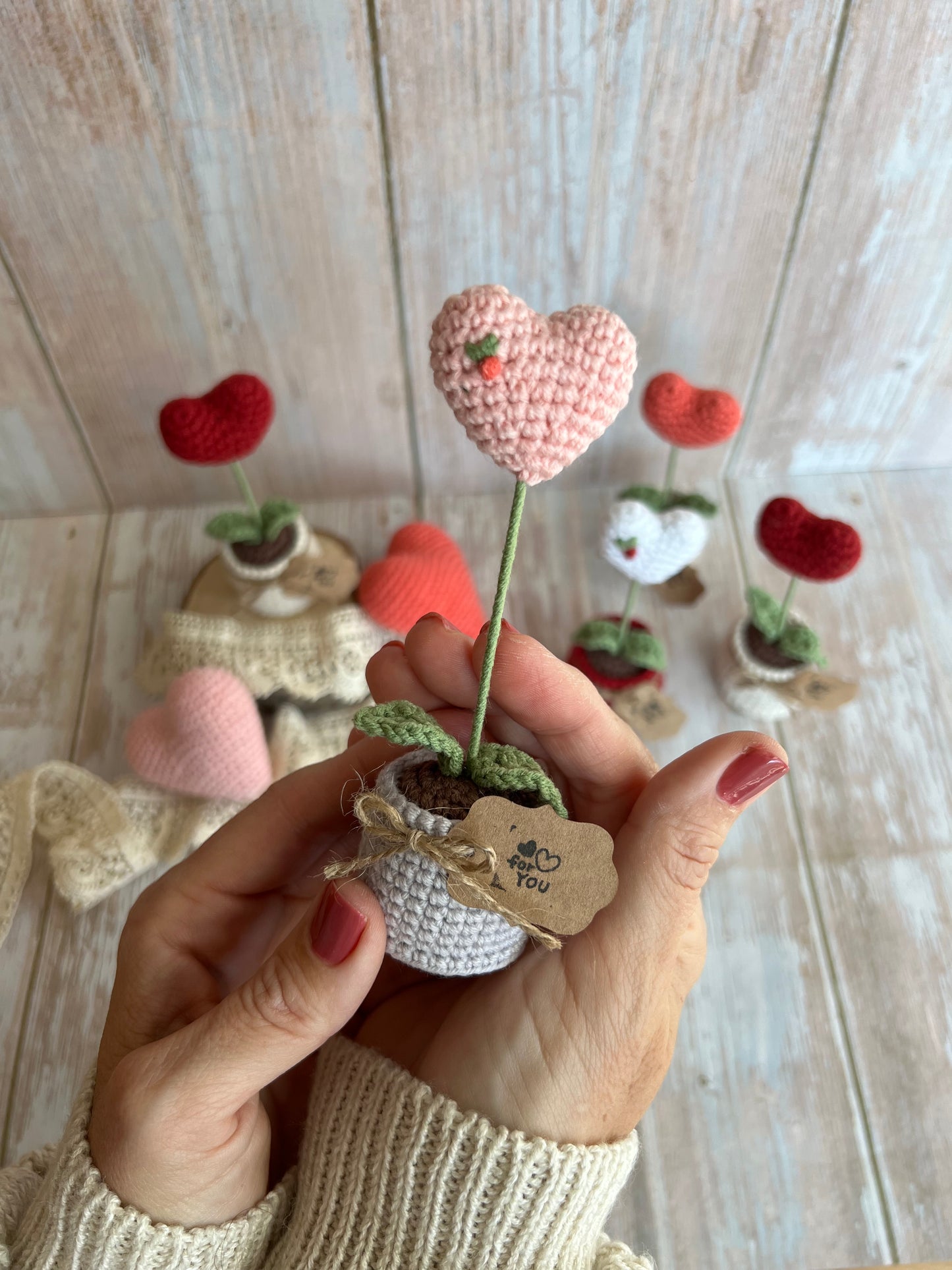 Handmade Crochet Heart in a Pot – Perfect Valentine’s Gift, Hand Crafted, Readymade, Unique Gift, Embroidered Heart, Anniversary Gift