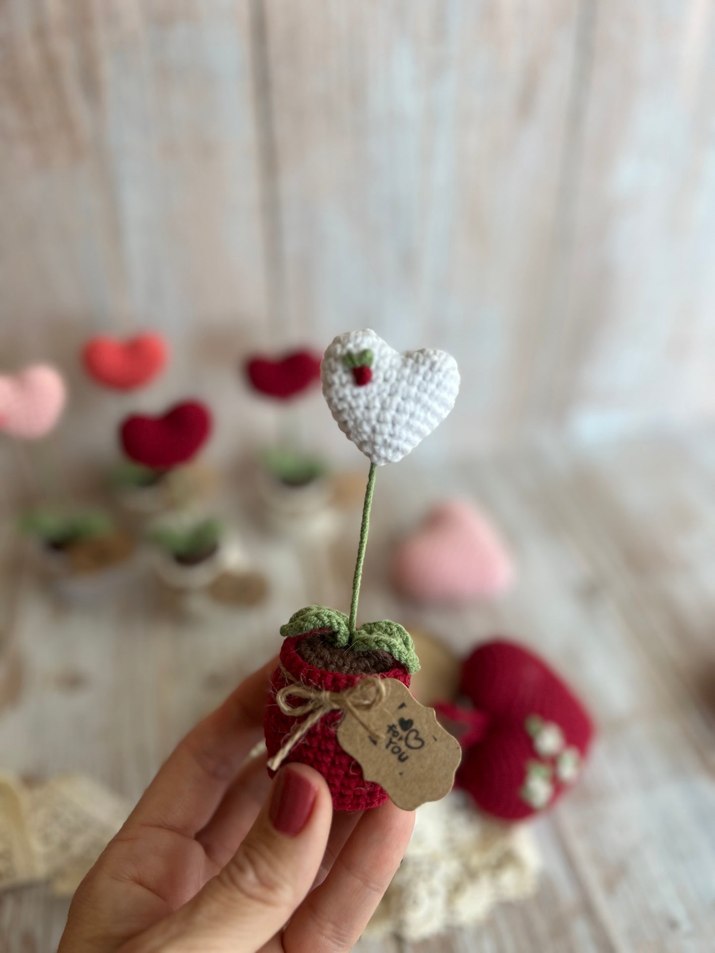 Handmade Crochet Heart in a Pot – Perfect Valentine’s Gift, Hand Crafted, Readymade, Unique Gift, Embroidered Heart, Anniversary Gift