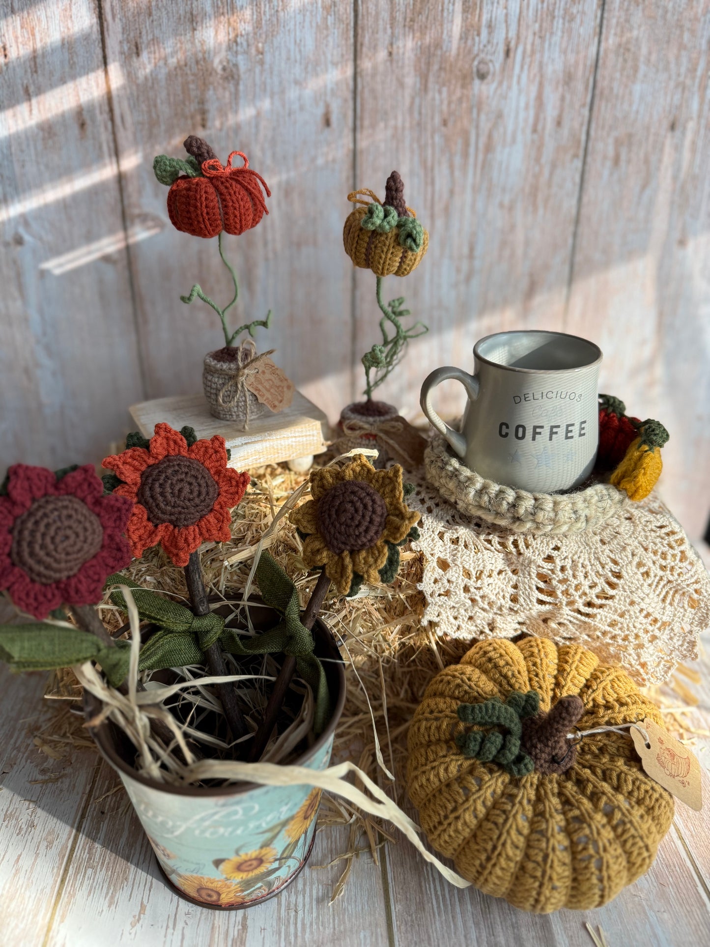 Crochet Pumpkin Patch Coasters, Handmade Fall Coasters, Rustic Pumpkin Design, Autumn Harvest Crochet Coasters, Pumpkins, Pumpkin Trio Crochet Coasters, Farmhouse Fall Decor