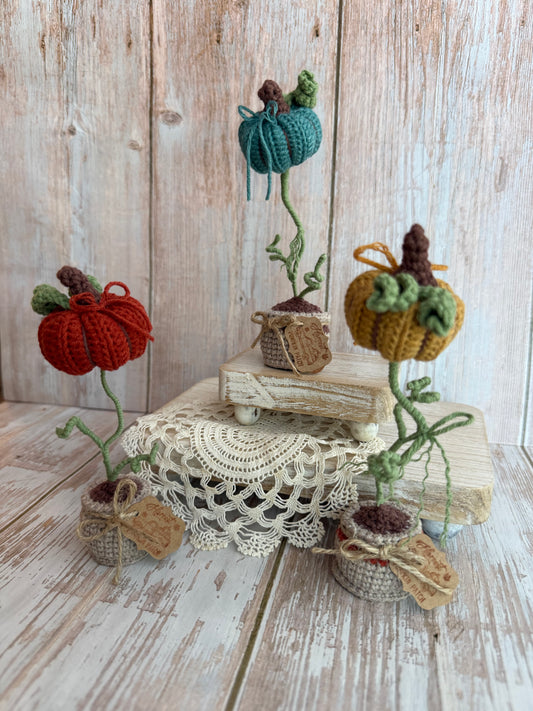 Crochet Pumpkin Plant in Pot, Fall Home Decor, Autumn Decoration, Mini Pumpkin Plant Crochet Decoration, Rustic Crochet Pumpkin in Pot, Handmade Fall Pumpkin Pot Accent, Crochet Pumpkin Farmhouse Style