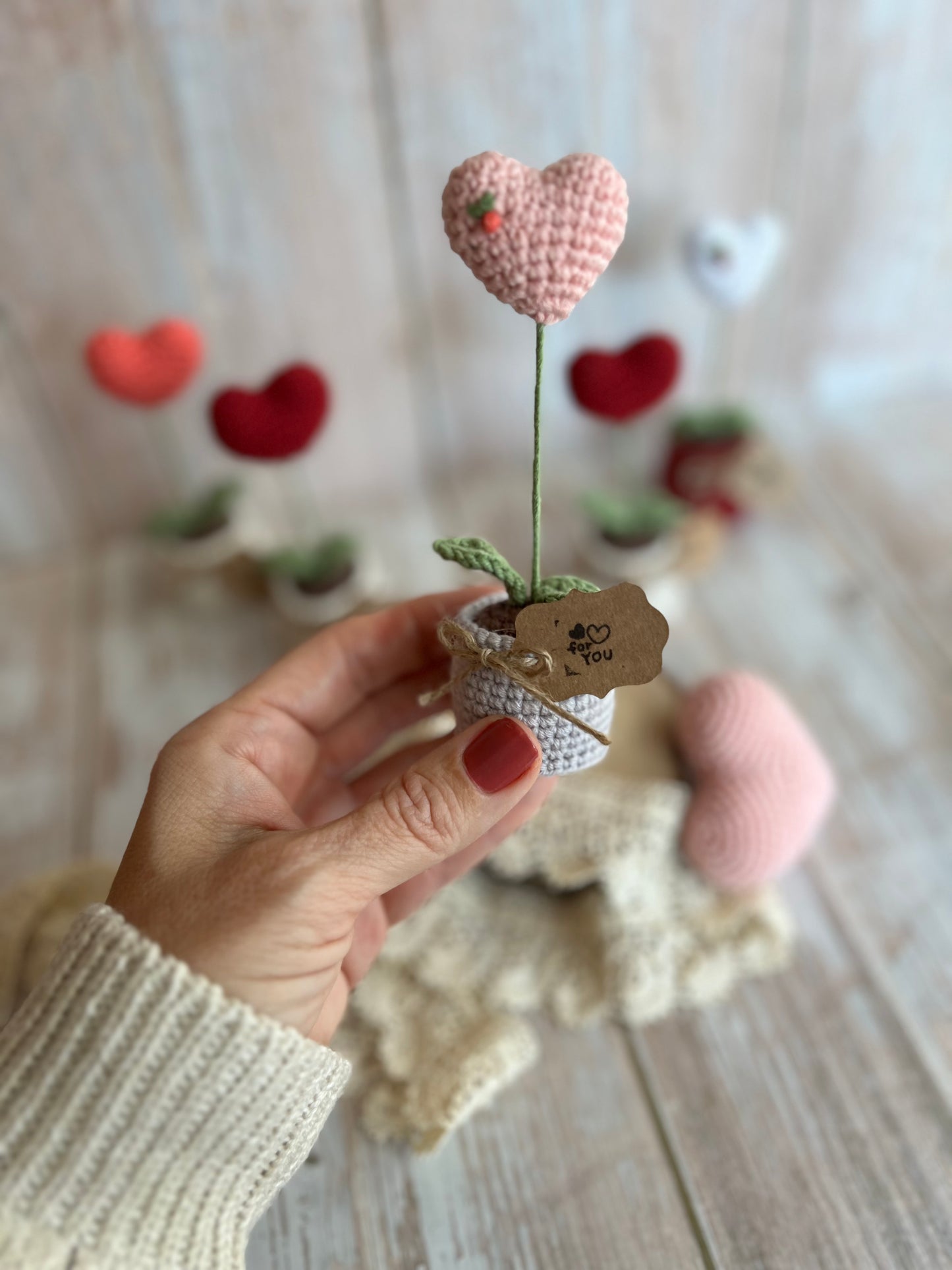 Handmade Crochet Heart in a Pot – Perfect Valentine’s Gift, Hand Crafted, Readymade, Unique Gift, Embroidered Heart, Anniversary Gift