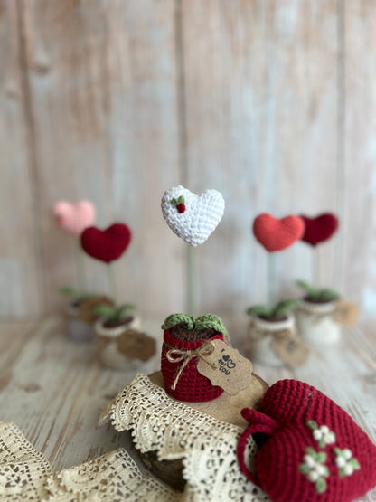 Handmade Crochet Heart in a Pot – Perfect Valentine’s Gift, Hand Crafted, Readymade, Unique Gift, Embroidered Heart, Anniversary Gift