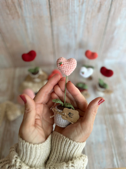 Handmade Crochet Heart in a Pot – Perfect Valentine’s Gift, Hand Crafted, Readymade, Unique Gift, Embroidered Heart, Anniversary Gift