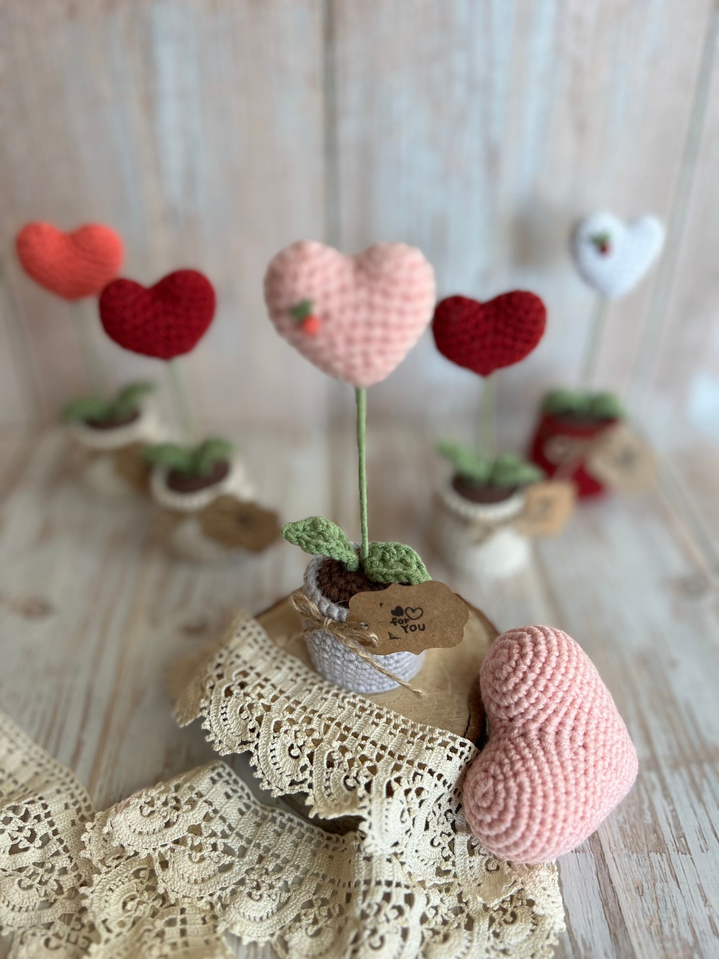 Handmade Crochet Heart in a Pot – Perfect Valentine’s Gift, Hand Crafted, Readymade, Unique Gift, Embroidered Heart, Anniversary Gift
