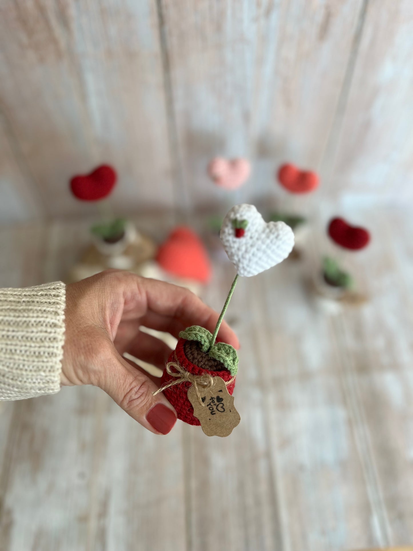 Handmade Crochet Heart in a Pot – Perfect Valentine’s Gift, Hand Crafted, Readymade, Unique Gift, Embroidered Heart, Anniversary Gift